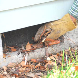 Gloved hand clearing leaf debris from a home's foundation vent